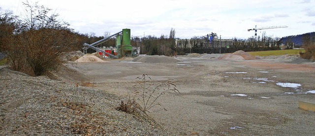 Kiesabbau am Rhein in Grenzach-Wyhlen   | Foto: Ralf Staub