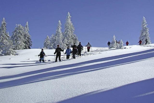 Landlauf, Snowboard, Alpin, Schneeschuhwandern am Feldberg