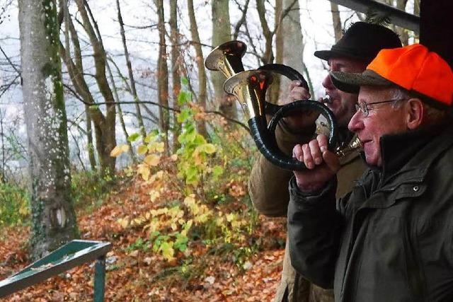 Treibjagd im Schwarzwald: Das Ende von vier Wildschweinen