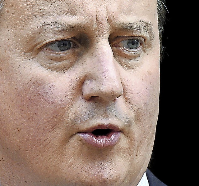 Premierminister David Cameron   | Foto: DPA