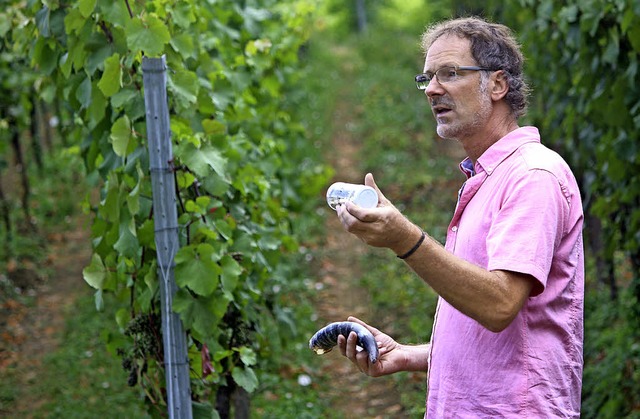 Thomas Harteneck erklrt die biologisch-dynamische Wirtschaftsweise im Weinbau.   | Foto: privat