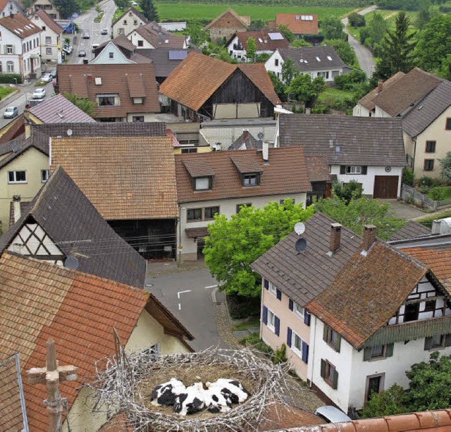 Eimeldingen wird in zwei Jahren 1250 J... Das soll im Mai 2017 gefeiert werden.  | Foto: Jutta Schtz