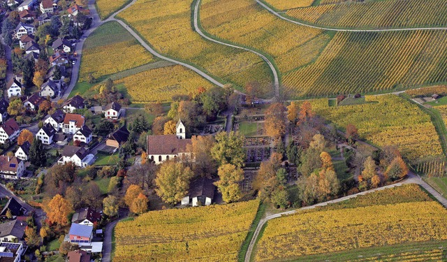 Der Winzerort Haltingen feiert 2017 sein 1250-Jahr-Jubilum.   | Foto: Erich Meyer