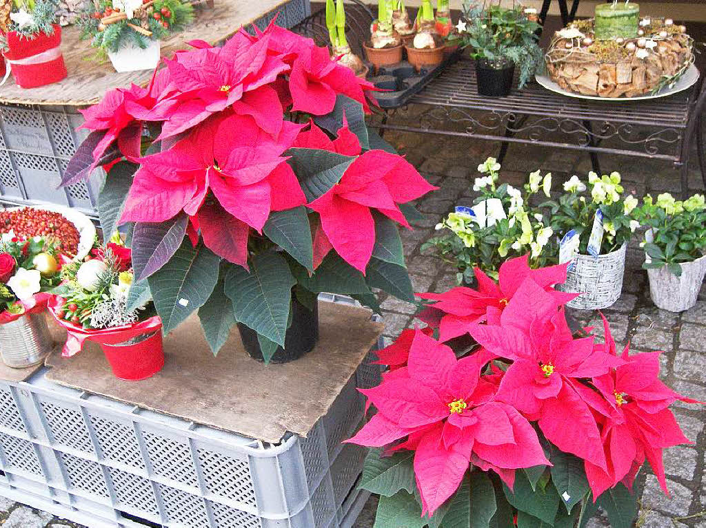 Strahlender Sonnenschein lockte zahlreiche Besucher auf den Altstaufener Weihnachtsmarkt.