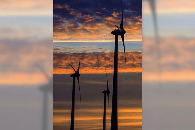 Bürgerinitiative will Verfahrensstopp bei Windkraftanlagen