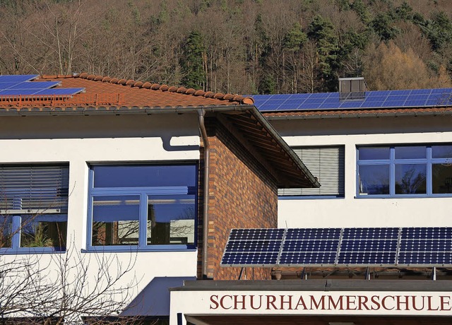 So viele Solarzellen stehen bereits auf dem Dach der Glottertler Schule.   | Foto: Frank Kiefer