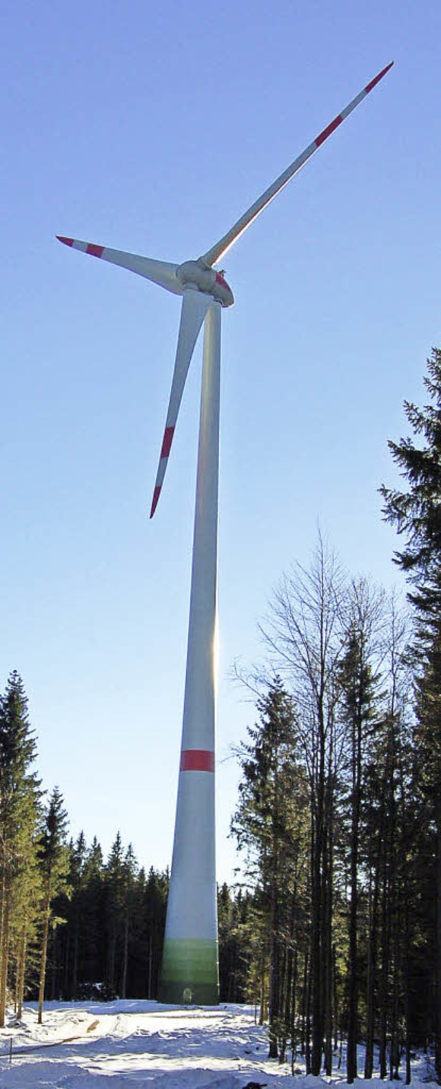 Schdlich fr Auerhuhn und Milan &#821...rder im Schwarzwald sind umstritten.   | Foto: Ringwald