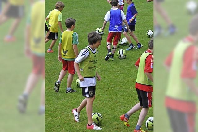 SV Eichsel lädt zum Fußballcamp mit Ex-Profi