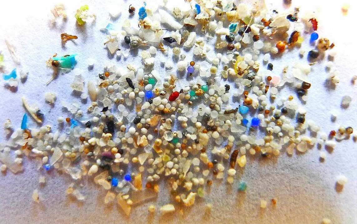 Mikroplastik-Teilchen mit einer Größe ...nd werden oft von Fischen aufgenommen.  | Foto: dpa
