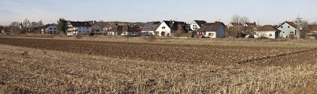 Blick auf die Bebauung zur Weinstrae hin, davor  soll gebaut werden.  | Foto: Michael Haberer