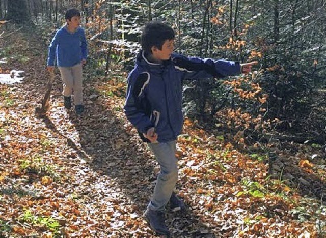 Die Grundschulkinder durchstreiften den Wald.  | Foto: Ulrike Klingler
