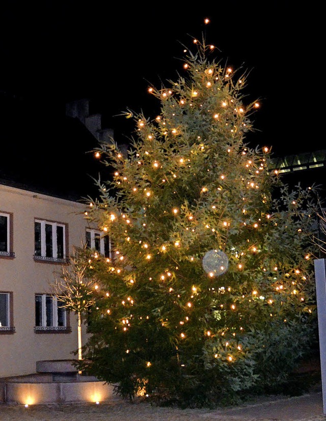 Der Bugginger Weihnachtsbaum auf dem R...glasie aus dem gemeindeeigenen Forst.   | Foto: Sigrid Umiger