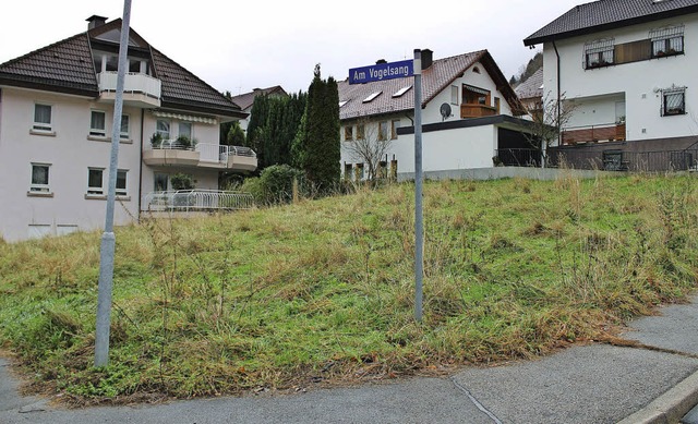 Das umstrittene Vogelsang-Grundstck  ...der  Flchtlingsunterbringung dienen.   | Foto: Erich Krieger