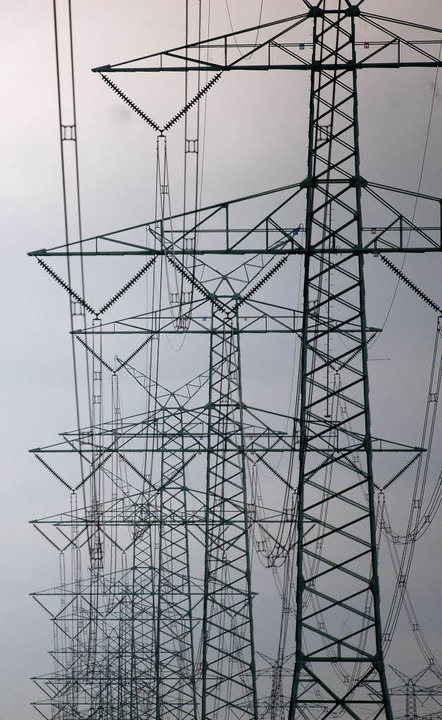 Netzausbau muss sein, dennoch sollte E...; so eine Forderung beim Fachgesprch.  | Foto: Dpa