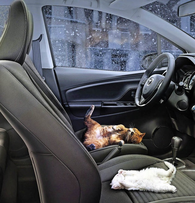 Standheizung wrmt Innenraum und Motor...Foto:Toyota/dpp-AutoReporter    Anhang  | Foto: Toyota/GP