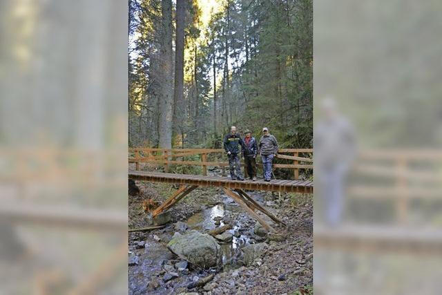 Schneebruch, Tornado, Hochwasser - viel Arbeit fr den Schwarzwaldverein