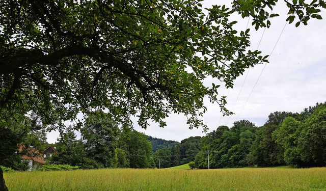 Am Standort Selzenbach/Enge „neu...cken entstehen -- aber reicht es aus? | Foto: Steckmeister Am Standort Selzenbach/Enge „neu...cken entstehen -- aber reicht es aus? | Foto: Steckmeister