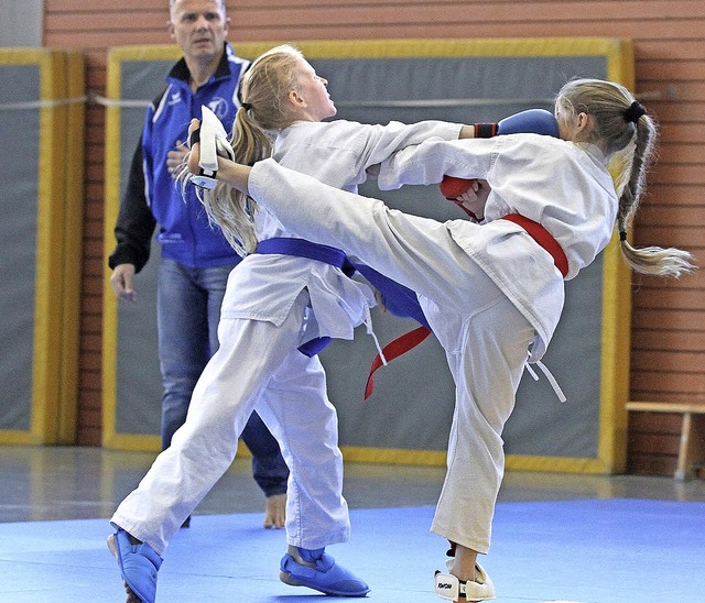 Harte Schlge und Disziplin: Die Karat...konnten erneut den Dojo-Cup gewinnen.   | Foto: Privat