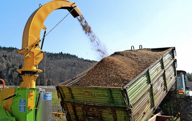 Die Gemeinde will mit Holz heizen. Ob ...ackschnitzeln (Bild) ist noch unklar.   | Foto: Paul Berger