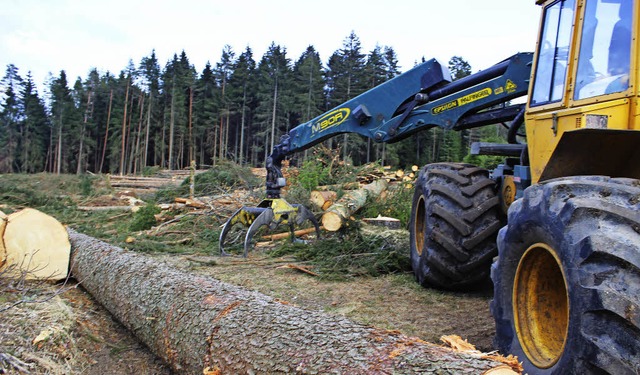 Ende Mrz wurde ein Waldstck fr das Baugebiet Neuwelt gerodet.   | Foto: Joachim Frommherz
