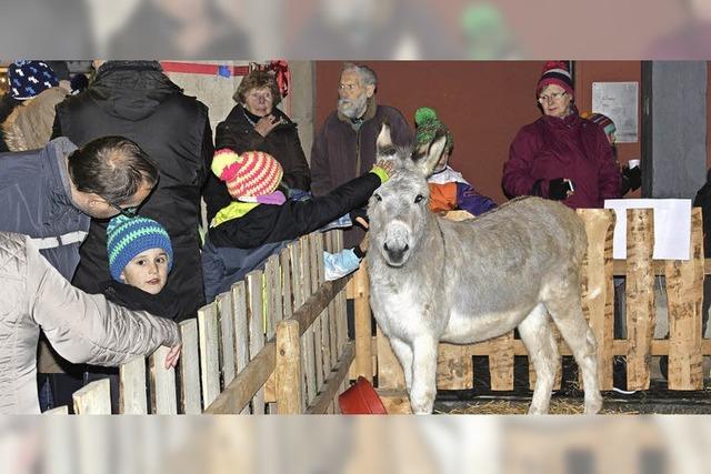 Angebote werden gut angenommen