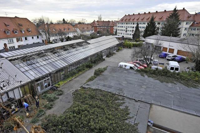 Neubauprojekte beim Hauptfriedhof liegen auf Eis