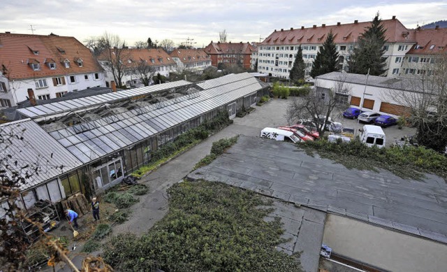 Ein Groteil des bisherigen Ausstellun...r das es ebenfalls Neubauplne gibt.   | Foto: Thomas Kunz