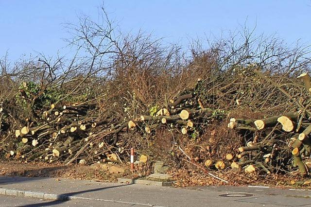 Das Holz muss liegen bleiben