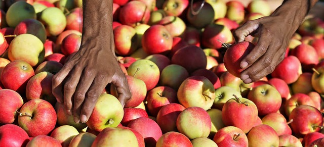Die Obstbauern hat der Preisverfall am...fen. Ihre Gewinne haben sich halbiert.  | Foto: dpa