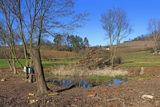 So sieht es  nach dem Eingriff am Fischinger Biotop aus.   | Foto: Cremer