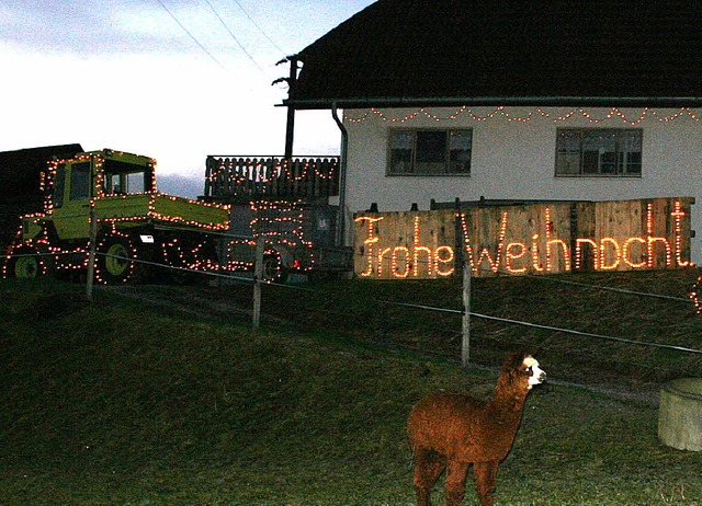 Frohe Weihnacht wnschen nicht nur Ern...giweg, sondern auch der Ortschaftsrat.  | Foto: Gerd Sutter