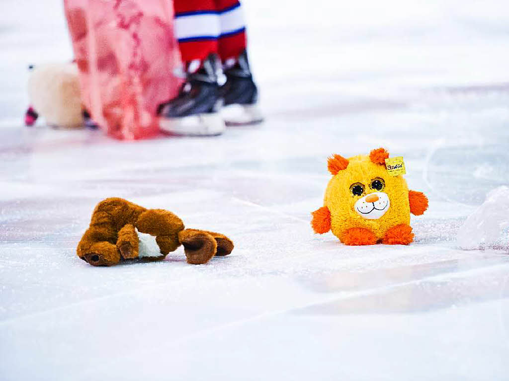 Teddy Bear Toss des EHC Freiburg ’2015