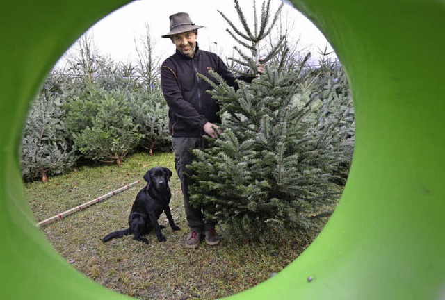 Andreas Gppner &#8211; fotografiert d...cht so schnell ihre Nadeln verlieren.   | Foto: I. Scheider