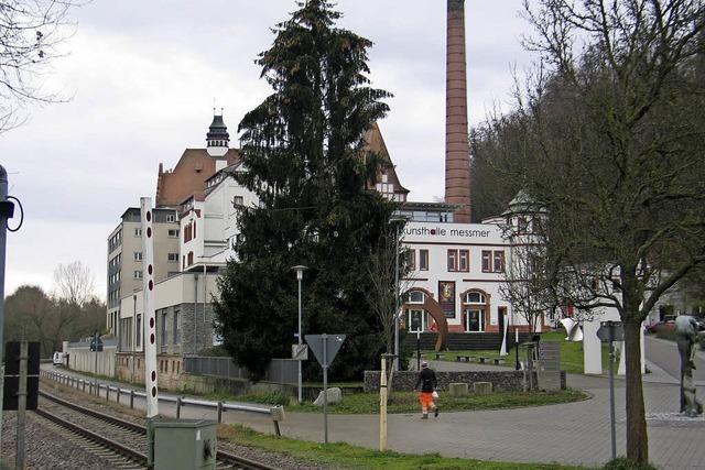 Fichte vor ehemaliger Brauerei soll im nchsten Advent wieder leuchten