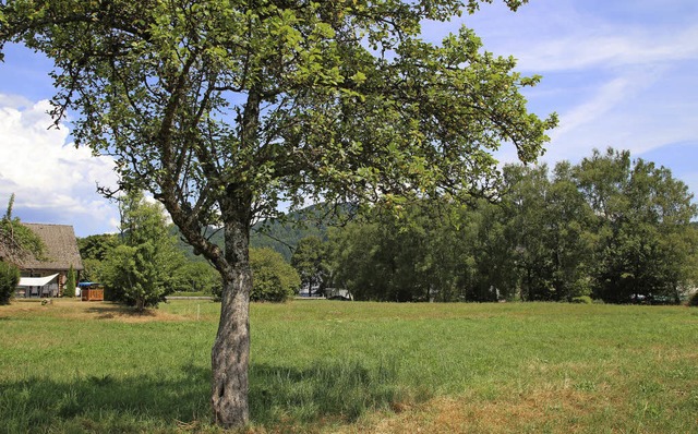 Platz fr sechs Eigenheime: das Gebiet Gern-Dellen   | Foto: archivbild: anja bertsch