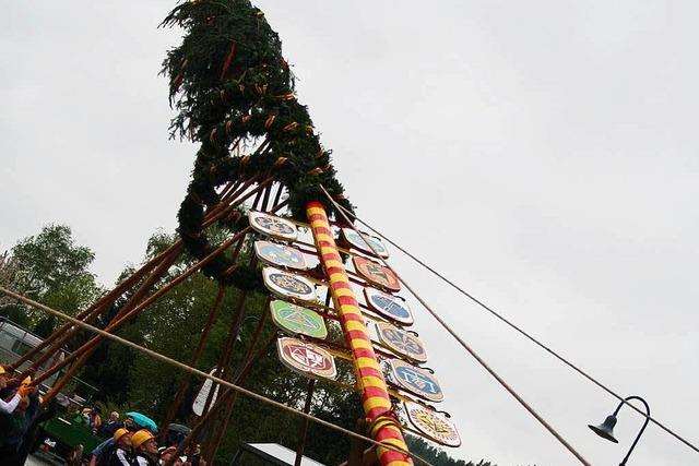 Fotos: Das war das Jahr 2015 in der Gemeinde Gutach