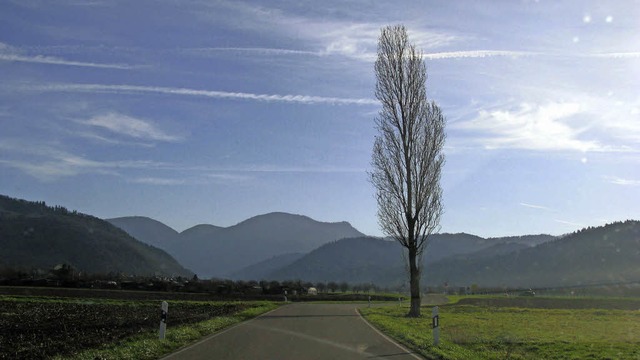 Die Ferienregion Mnstertal-Staufen re...is Ballrechten (am rechten Bildrand).   | Foto: Manfred Lange