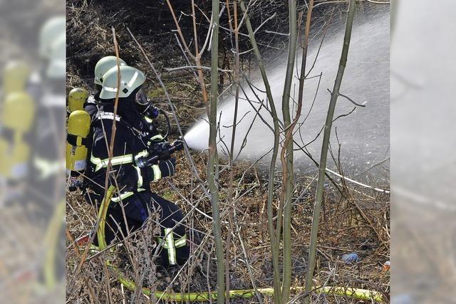 Schneller Einsatz