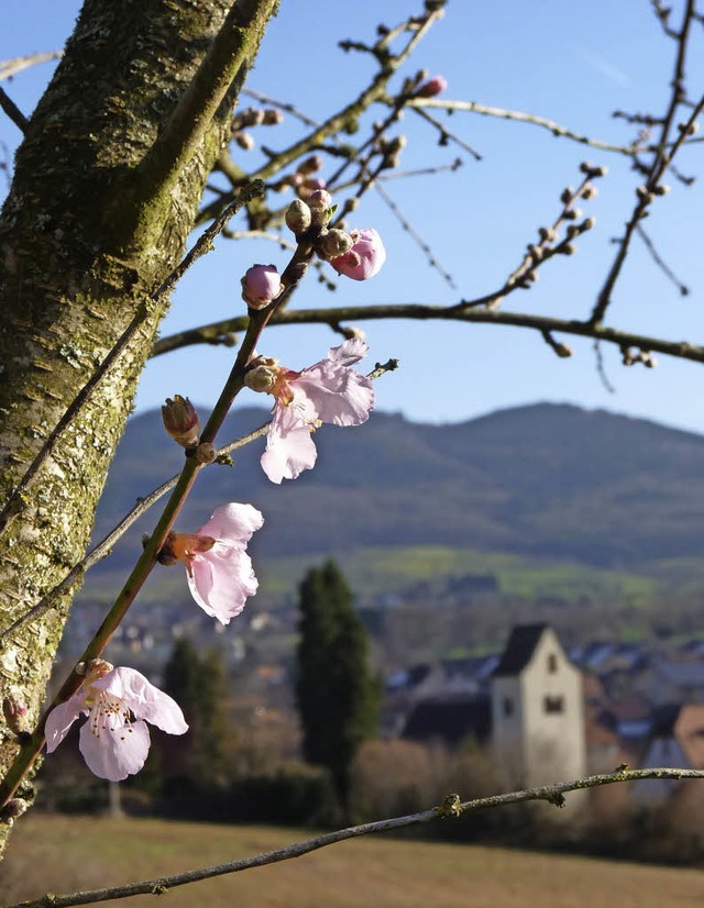   | Foto: Wolfgang Baumann