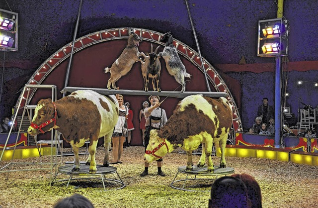 Bei der groen Bauernhoftier-Revue sor...Khe und Ziege fr gute Unterhaltung.   | Foto: Johanna Meister