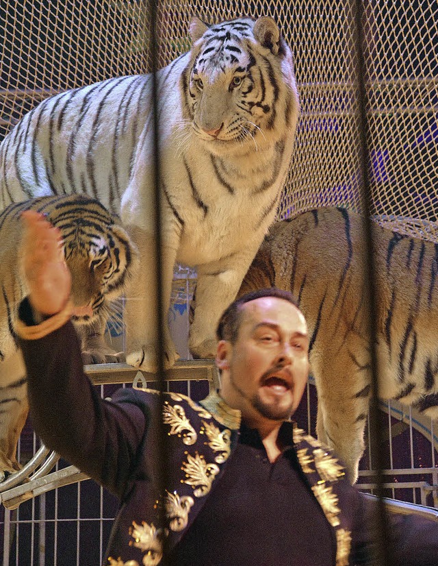 Karel Berousek mit Alex, dem Star seiner Tigergruppe   | Foto: Barbara Ruda