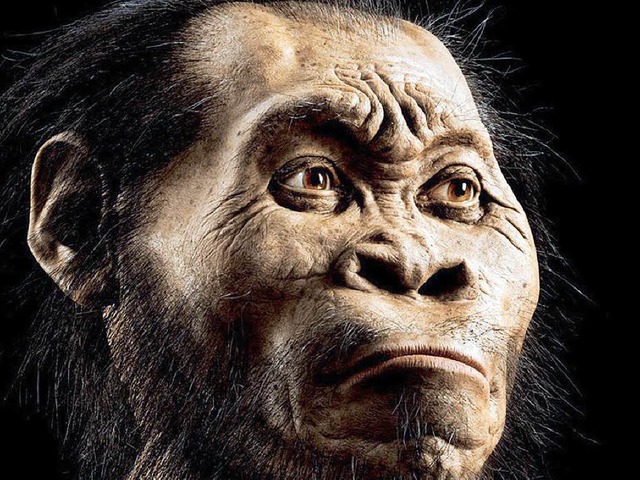 Knochenteile des Homo naledi wurden in  Sdafrika entdeckt   | Foto: dpa