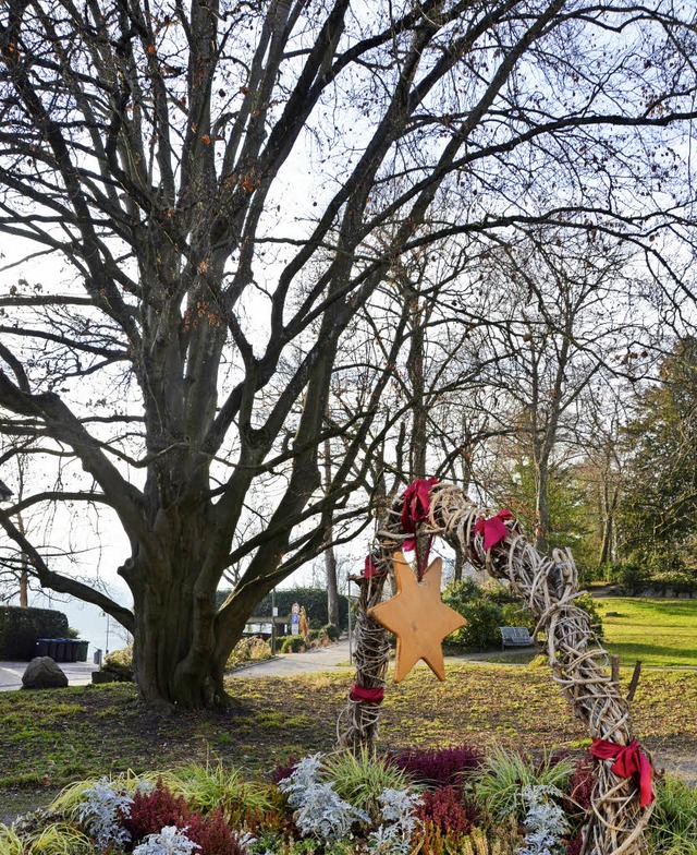 Vom Stadtpark bis zum Bahnhof soll sich die grne Zone Rheinfeldens entwickeln.   | Foto: Ingrid Bhm-Jacob