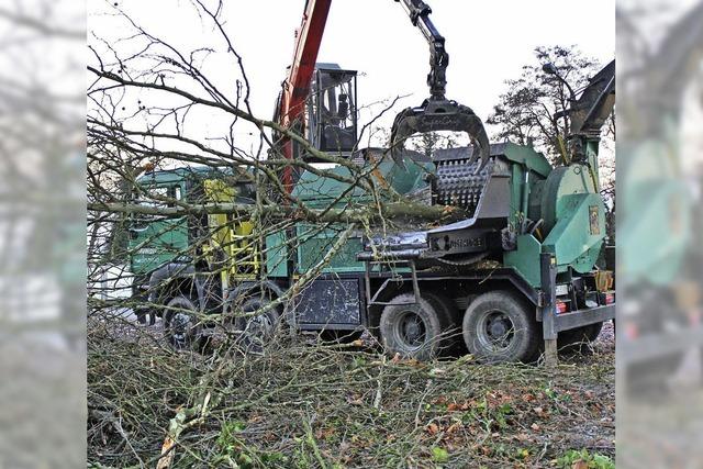 Grohcksler zerkleinert das Holz vom Hrnle