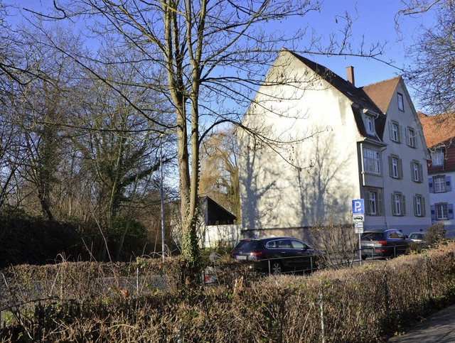 An der Rheinstrae soll ein Wohnblock gebaut werden.   | Foto: Walser