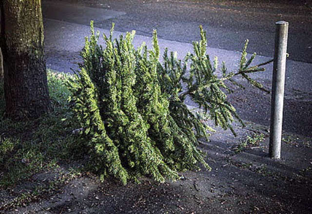 Der Baum  geht, Neues kommt.  | Foto: Thomas Olbrich, (thoolb, o.T.) ? Cologne, Germany