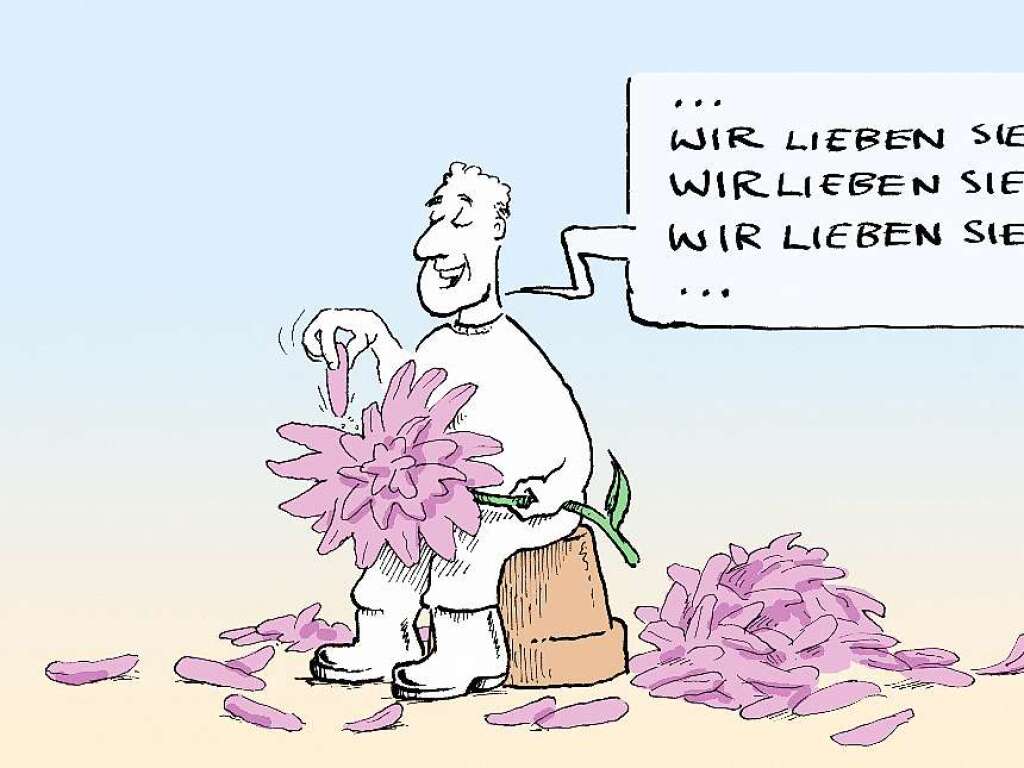 Wie halten wir es mit der Chrysanthema?