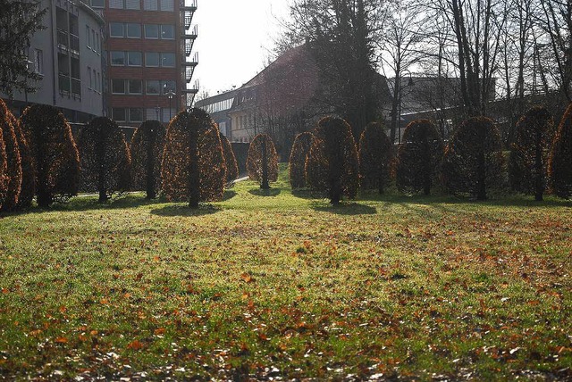 Idyllischer Goethepark &#8211; Tatort ...dem sie zwei Jugendliche  gefasst hat.  | Foto: Freya Saurer