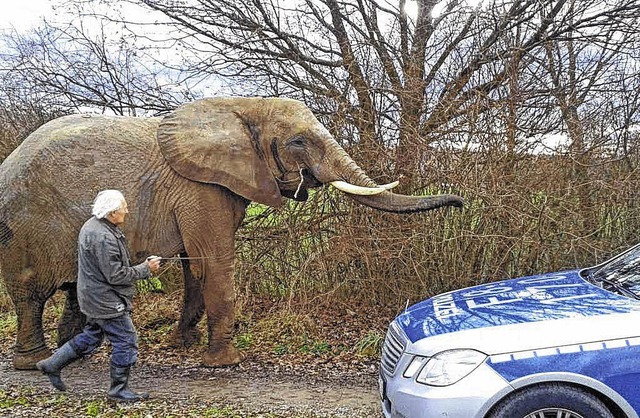 Im Januar wurde die Polizei ins Gewerb..., damit es gengend Bewegung bekommt.   | Foto: Privat