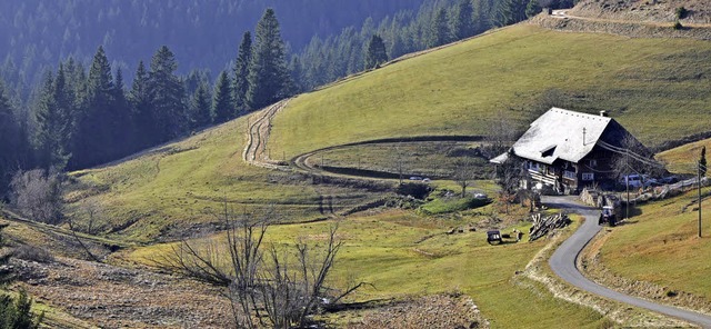 Etwa 800 Meter unterhalb des Anwesens ...n, standen die Gebude der Glashtte.   | Foto: Friedbert Zapf